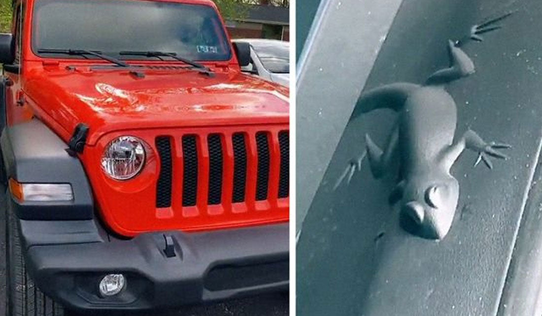 How Many Easter Eggs Are On A Jeep Wrangler? Discover Hidden Secrets